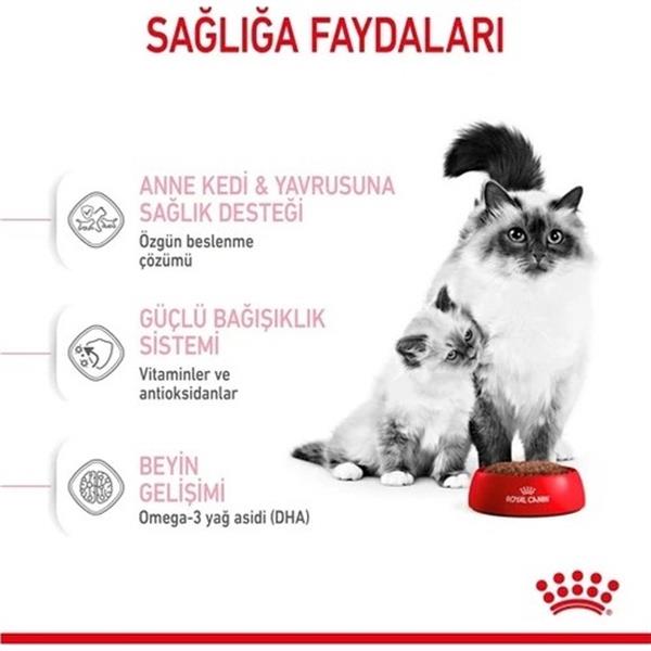 Royal%20Canin%204%20Kg%20%20Mother%20&%20BabyCat%20Yavru%20Kedi%20Maması