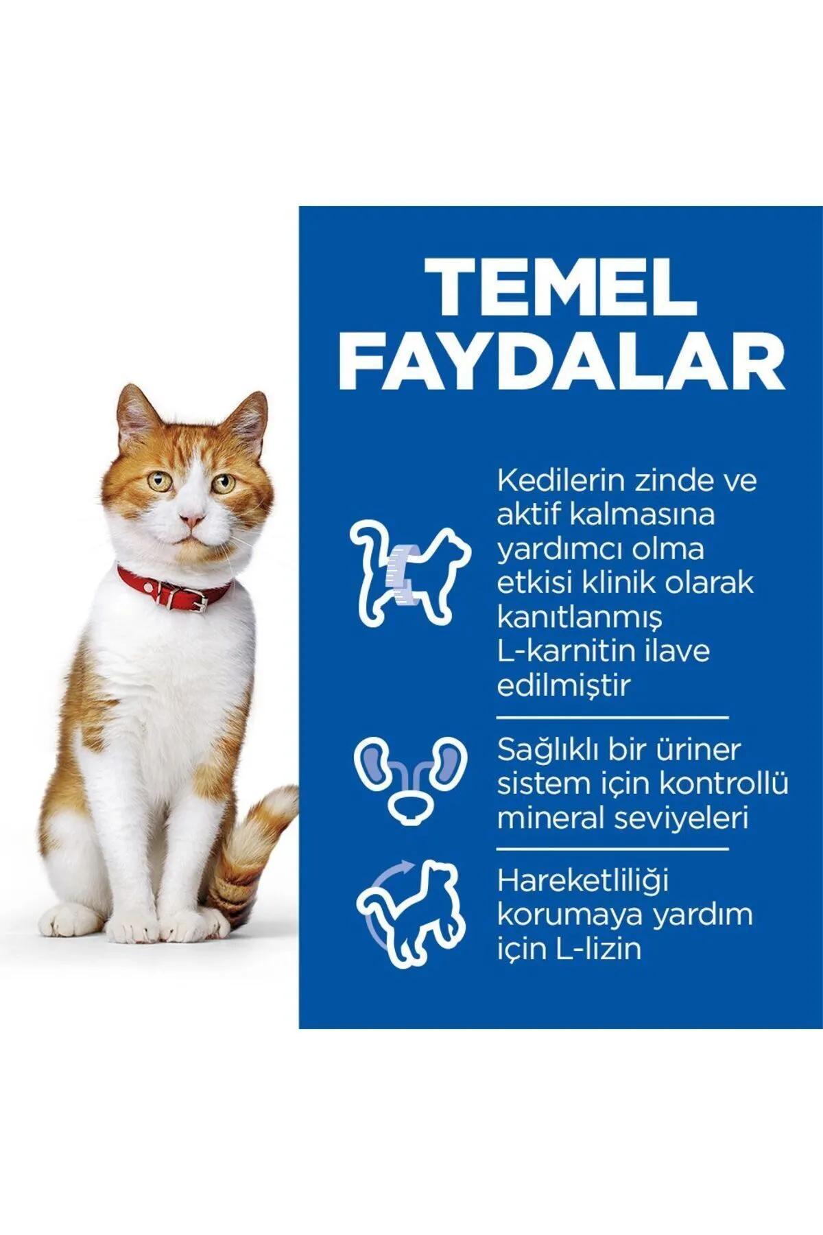 Hills%2010%20Kg%20Somonlu%20Kısırlaştırılmış%20Yetişkin%20Kedi%20Maması