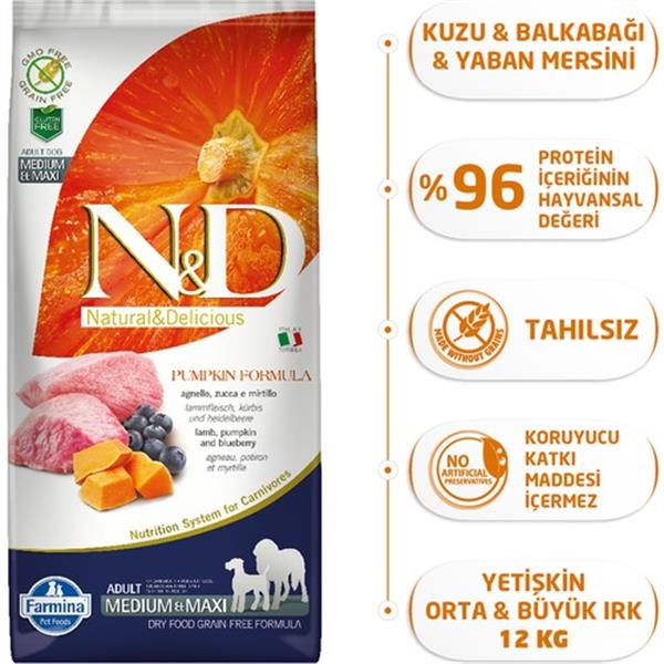 N&D%20Pumpkin%2012%20Kg%20Bal%20Kabaklı%20Kuzulu%20Yaban%20Mersinli%20Orta%20ve%20Büyük%20Irk%20Tahılsız%20Yetişkin%20Köpek%20Maması