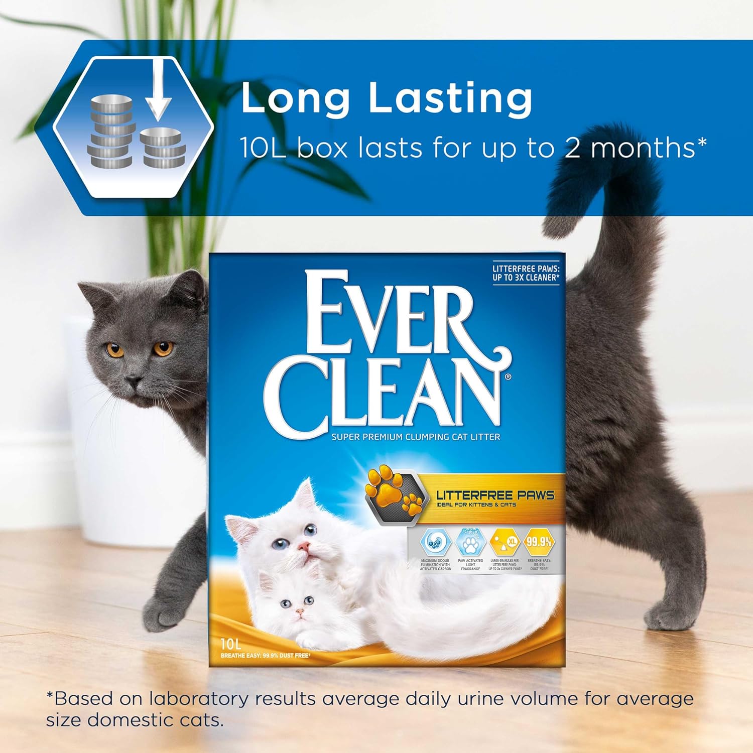 Ever%20Clean%2010%20Lt%20Litterfree%20Paws%20Kedi%20Kumu%20